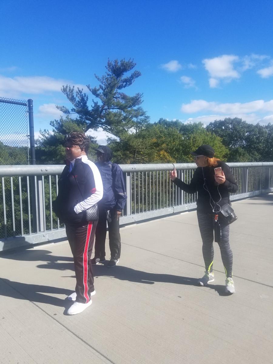 October 2018 - Walk Across the Hudson, Halloween, Golden Harvest 04