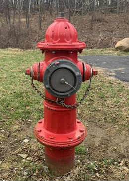 Screenshot 2025-09-29 120112